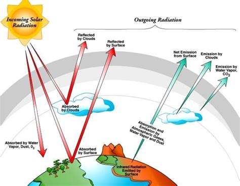 explain the differences in the graphs of bottle a and b|MODULE SOLAR ENERGY AND THE ATMOSPHERE .